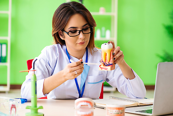 포토 JPG 해외이미지 모델 학생 건강 치과 병원 설명 사람없음 치료 약 강사 교사 의사 흰색 기구 공구 입 치아 청소 부식 치과의사 보여주기 틀니 순서 돌봄 미백 블로거 위생관리 증상 치아교정 해외202105 해외포토 직업 컬러 의학 모션 관리 신체부위 의료진 도구 소화기관 교정 파일형식