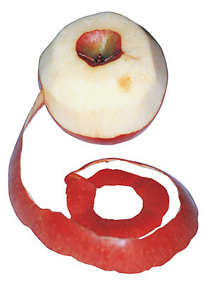 포토 JPG 열매 음식 컬러 과일 누끼 사람없음 빨간색 한개 껍질 사과 오브젝트 사과껍질 깎기 국내포토 식물 1 모션 파일형식