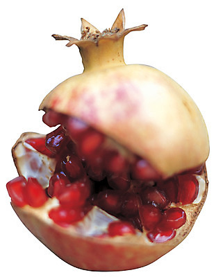 포토 JPG 열매 음식 컬러 과일 누끼 근접촬영 사람없음 아웃포커스 빨간색 한개 균열 낟알 오브젝트 알맹이 석류 국내포토 식물 1 뷰포인트 모션 촬영기법 파일형식