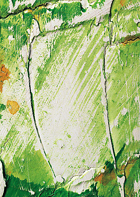 포토 JPG 벽 컬러 백그라운드 무늬 패턴 자국 표면 붓터치 벽면 사람없음 초록색 연두색 담장 페인트 페인트칠 거친 지저분함 흔적 시멘트벽 스크래치 국내포토 페인팅 감각 파일형식