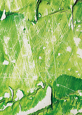 포토 JPG 벽 컬러 백그라운드 무늬 패턴 자국 표면 붓터치 벽면 사람없음 초록색 연두색 담장 페인트 페인트칠 거친 지저분함 흔적 시멘트벽 스크래치 국내포토 페인팅 감각 파일형식