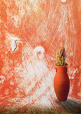 PSD 식물 편집 편집이미지 화분 벽 컬러 백그라운드 그림자 사람없음 담장 갈색 페인트 페인트칠 디지털합성 합성 스크래치 이미지편집 페인팅 파일형식