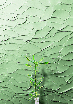 PSD 식물 편집 편집이미지 화분 벽 컬러 백그라운드 그림자 사람없음 초록색 담장 페인트 페인트칠 풀잎 디지털합성 합성 이미지편집 잎 페인팅 풀_식물 파일형식