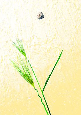 PSD 식물 편집 편집이미지 벽 백그라운드 그림자 사람없음 초록색 담장 페인트 돌_바위 페인트칠 풀잎 디지털합성 합성 이미지편집 컬러 잎 페인팅 풀_식물 파일형식