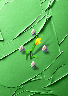 PSD 식물 편집 편집이미지 꽃 벽 컬러 백그라운드 한송이 사람없음 초록색 담장 노란색 페인트 돌_바위 조약돌 페인트칠 디지털합성 합성 이미지편집 1 페인팅 송이 파일형식