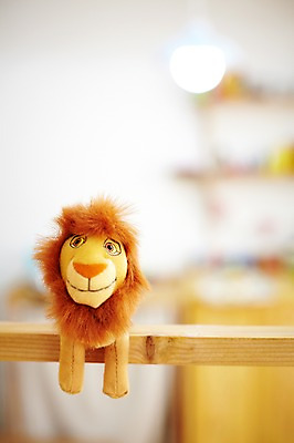 포토 JPG 인형 실내 사람없음 장식 인테리어 장난감 사자 오브젝트 국내포토 디자인 포유류 내부 파일형식