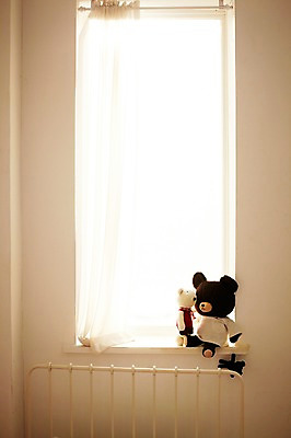 포토 JPG 인형 창문 실내 사람없음 장식 인테리어 곰인형 커튼 창가 오브젝트 국내포토 디자인 내부 파일형식