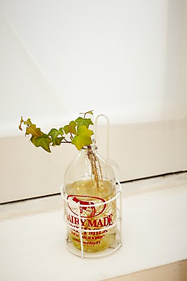 포토 JPG 식물 화초 실내 사람없음 장식 인테리어 병 담쟁이덩굴 오브젝트 아이비 국내포토 식기 디자인 내부 덩굴 파일형식