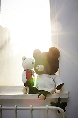 포토 JPG 인형 창문 실내 사람없음 장식 빛 인테리어 햇빛 곰인형 창가 오브젝트 국내포토 디자인 내부 태양 파일형식