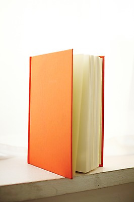 포토 JPG 실내 사람없음 장식 책 인테리어 오브젝트 한권 국내포토 1 디자인 내부 파일형식