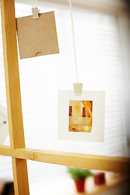 포토 JPG 식물 화분 화초 실내 집게 사람없음 장식 인테리어 오브젝트 기념사진 국내포토 디자인 내부 파일형식