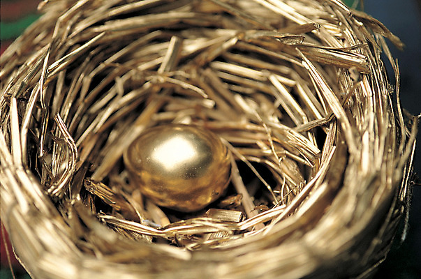 포토 JPG 컬러 백그라운드 근접촬영 사람없음 아웃포커스 하이앵글 한개 계란 알 금색 황금 둥지 볏짚 황금알 한알 국내포토 1 뷰포인트 촬영기법 짚 파일형식