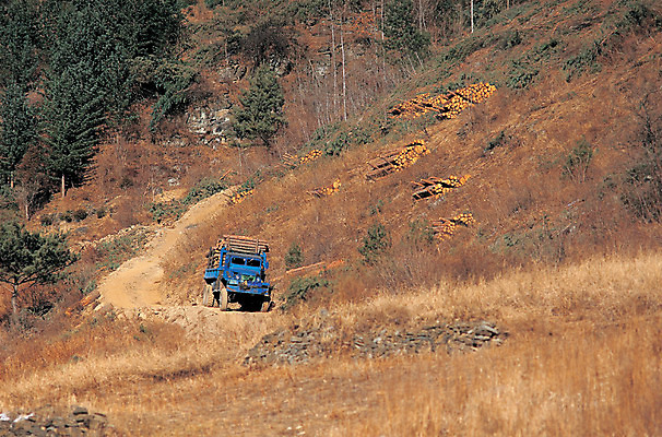 포토 JPG 나무 건축 산업 교통수단 이동 한대 자동차 자연 산 풍경 사람없음 경제 트럭 운송업 시골 운반 환경오염 오염 건축자재 자재 벌목 벌채 국내포토 식물 1 육상교통 교통 컨셉 생태계 파일형식