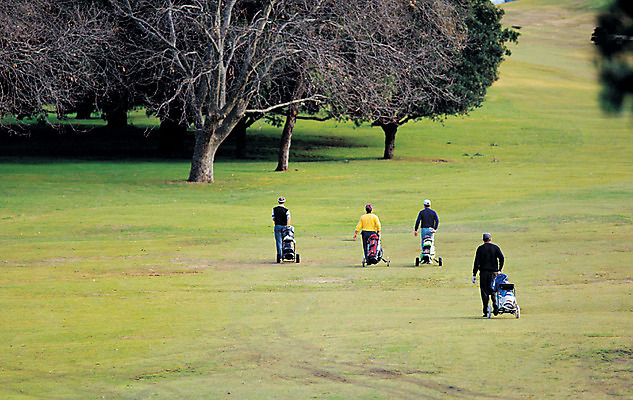 포토 JPG 주간 서양인 외국인 나무 식물 라이프스타일 남자 스포츠 이동 골프 골프장 필드 레저 운동선수 사람 경기 여러명 야외 뒷모습 레포츠 운동 걷기 골퍼 캐디 남자만 국내포토 자연요소 직업 뷰포인트 다수 컨셉 스포츠시설 모션 건강 인종 생활 구기 파일형식