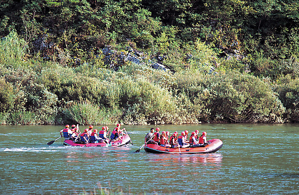 포토 JPG 주간 교통수단 스포츠 수상교통 레저 여러명 야외 레포츠 강 보트 익스트림스포츠 급류타기 노 노젓기 고무보트 두척 선박 국내포토 자연요소 다수 교통 2 배_교통 모션 사람 수상스포츠 파일형식