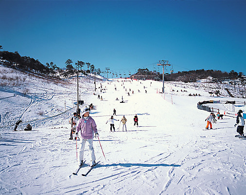 포토 JPG 주간 계절 스포츠 겨울 스포츠시설 레저 스키 겨울스포츠 스키장 사람 풍경 여러명 야외 레포츠 운동 눈 승차 리프트 스키선수 레저시설 활강 국내포토 자연요소 다수 모션 날씨 운동선수 건강 시설 파일형식