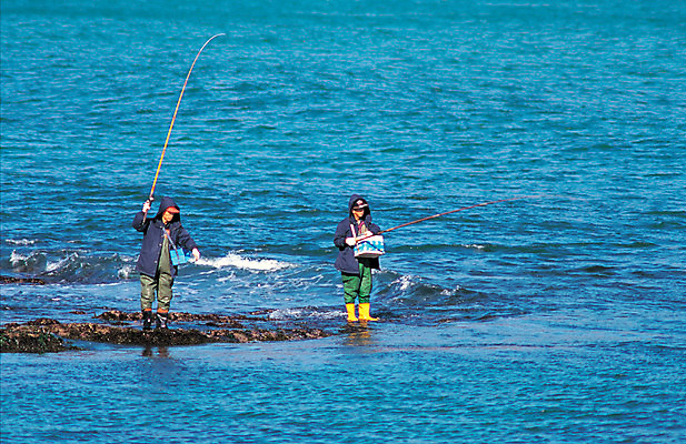 포토 JPG 주간 라이프스타일 남자 바다 컬러 자연 레저 낚시 서기 사람 취미 해변 야외 두명 파란색 낚싯대 낚시꾼 바다낚시 강태공 남자만 국내포토 자연요소 모션 생활 낚시용품 생태계 파일형식