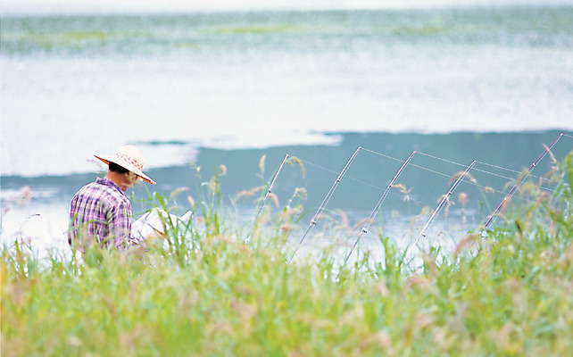 포토 JPG 주간 식물 라이프스타일 호수 자연 레저 낚시 한명 사람 취미 야외 뒷모습 강 평화 침묵 풀 낚싯대 낚시꾼 낚시터 강태공 민물낚시 국내포토 자연요소 1 뷰포인트 컨셉 생활 소리 낚시용품 생태계 파일형식
