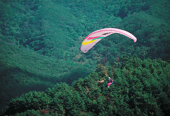 포토 JPG 주간 컬러 자연 레저 산 한명 사람 풍경 야외 공중 초록색 레포츠 비행 숲 낙하산 패러글라이딩 행글라이더 푸른숲 국내포토 자연요소 1 스포츠 생태계 파일형식
