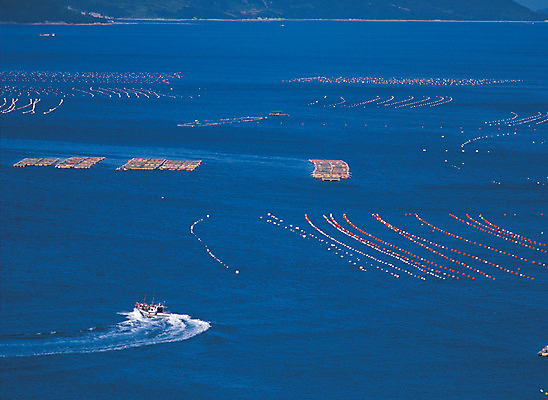 포토 JPG 주간 아시아 바다 컬러 수상교통 자연 한국 풍경 야외 파란색 하이앵글 어선 경상도 경상남도 어촌 양식장 부표 남해 선박 국내포토 자연요소 나라 교통수단 뷰포인트 배_교통 시골 시설 생태계 파일형식
