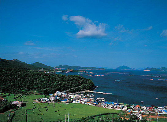 포토 JPG 주간 구름 바다 컬러 자연 하늘 산 한국 논 풍경 야외 파란색 하이앵글 마을 어촌 계단식 계단식논 다락논 다랑논 다랑이논 국내포토 자연요소 아시아 뷰포인트 농업 시골 생태계 파일형식