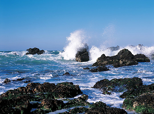 포토 JPG 주간 파도 바다 컬러 자연현상 자연 하늘 한국 풍경 해변 사람없음 야외 돌_바위 바위 급류 국내포토 자연요소 아시아 생태계 파일형식