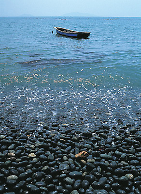 포토 JPG 주간 아시아 물결 파도 바다 컬러 자연 한국 풍경 해변 사람없음 야외 돌_바위 조약돌 어선 전라도 전라남도 정박 완도 선박 국내포토 자연요소 나라 수상교통 배_교통 생태계 파일형식