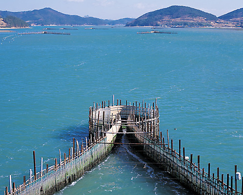 포토 JPG 주간 아시아 바다 컬러 자연 한국 어업 풍경 사람없음 야외 장비 수면 경상도 경상남도 대나무 어촌 양식장 남해 국내포토 자연요소 나무 나라 산업 물 시골 시설 생태계 파일형식