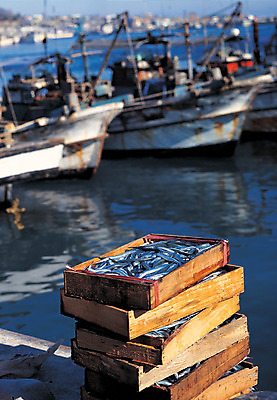 포토 JPG 주간 한국 어류 어업 풍경 사람없음 야외 아웃포커스 쌓기 여러개 어선 나무상자 해산물 정박 어촌 국내포토 자연요소 산업 아시아 다수 모션 촬영기법 상자 수중동물 시골 배 선박 파일형식