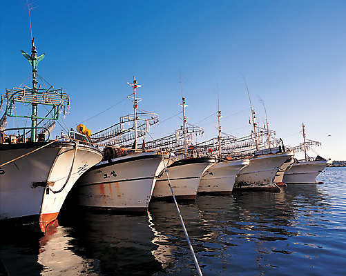포토 JPG 주간 물결 바다 컬러 수상교통 하늘 한국 풍경 사람없음 야외 파란색 반사 흰색 어선 수면 정박 어촌 여러대 선박 국내포토 자연요소 아시아 교통수단 다수 배_교통 물 시골 파일형식