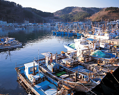포토 JPG 주간 바다 컬러 섬 수상교통 산 한국 풍경 사람없음 야외 파란색 흰색 어선 정박 어촌 여러대 선박 국내포토 자연요소 아시아 교통수단 다수 배_교통 시골 파일형식