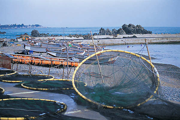 포토 JPG 주간 바다 컬러 수상교통 하늘 한국 풍경 해변 사람없음 야외 파란색 그물 어선 정박 어촌 여러대 선박 국내포토 자연요소 아시아 교통수단 다수 배_교통 시골 파일형식