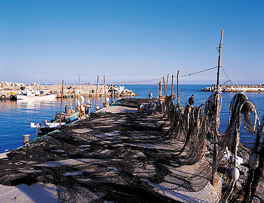 포토 JPG 주간 바다 컬러 수상교통 하늘 낚시 한국 사람 풍경 해변 야외 파란색 그물 어선 작업장 정박 방파제 어촌 바다낚시 선박 국내포토 자연요소 공공시설 산업 아시아 교통수단 배_교통 레저 시골 파일형식