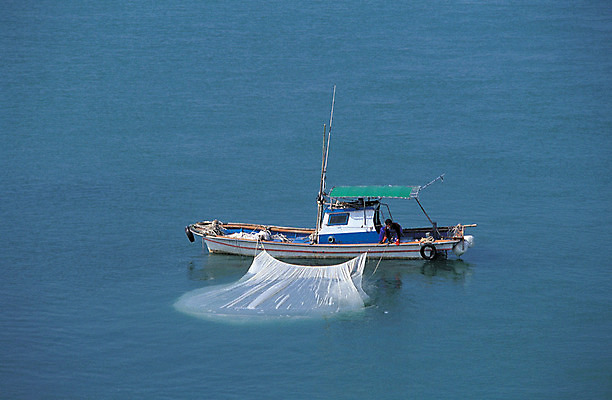 포토 JPG 주간 남자 아시아 바다 컬러 한국 한명 사람 야외 작업 그물 어선 수면 경상도 경상남도 어촌 남해 개불 작업자 선박 남자만 남자한명만 국내포토 자연요소 1 나라 수상교통 배_교통 물 시골 해물 파일형식