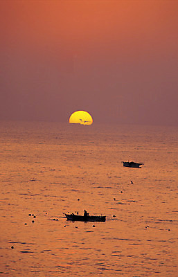 포토 JPG 바다 컬러 수상교통 자연 조류 한국 풍경 사람없음 야외 일출 일몰 어선 수면 부표 선박 국내포토 동물 아시아 교통수단 배_교통 물 노을 생태계 파일형식