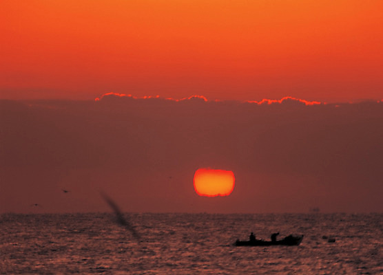 포토 JPG 주간 구름 바다 컬러 자연 조류 하늘 풍경 야외 빨간색 태양 일출 주황색 일몰 어선 선박 국내포토 자연요소 동물 수상교통 노을 배 생태계 파일형식