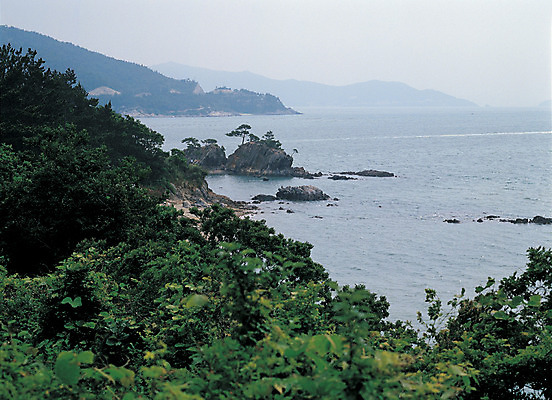 포토 JPG 주간 나무 식물 바다 컬러 섬 자연 한국 풍경 해변 사람없음 야외 관광지 하이앵글 마을 돌_바위 바위 전라도 전라남도 바위섬 해남 땅끝마을 국내포토 자연요소 아시아 뷰포인트 여행 생태계 파일형식