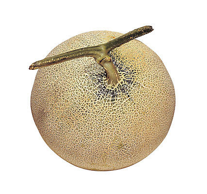 포토 JPG 스튜디오촬영 열매 음식 컬러 과일 실내 누끼 사람없음 농작물 한개 껍질 원형 멜론 꼭지 국내포토 도형 식물 1 농업 내부 파일형식