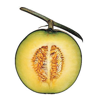 포토 JPG 스튜디오촬영 열매 음식 컬러 조각 과일 실내 씨앗 누끼 사람없음 농작물 한개 껍질 원형 멜론 자르기 열대과일 반쪽 슬라이스 꼭지 과육 국내포토 도형 식물 1 농업 모션 내부 파일형식