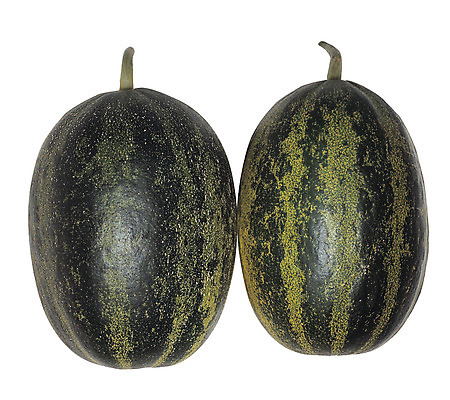 포토 JPG 스튜디오촬영 열매 음식 컬러 과일 실내 누끼 사람없음 초록색 농작물 줄무늬 두개 껍질 꼭지 참외 개구리참외 제철 제철과일 국내포토 식물 2 무늬 농업 내부 파일형식