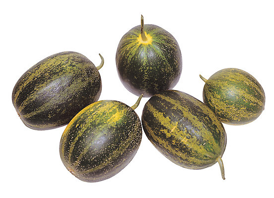 포토 JPG 스튜디오촬영 열매 음식 컬러 과일 실내 누끼 사람없음 아웃포커스 초록색 농작물 하이앵글 여러개 줄무늬 껍질 꼭지 참외 개구리참외 제철 제철과일 국내포토 식물 뷰포인트 다수 무늬 농업 촬영기법 내부 파일형식