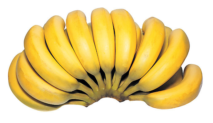 포토 JPG 스튜디오촬영 열매 음식 컬러 다수 한송이 과일 바나나 실내 누끼 근접촬영 사람없음 농작물 하이앵글 노란색 여러개 송이 국내포토 식물 1 뷰포인트 농업 내부 파일형식
