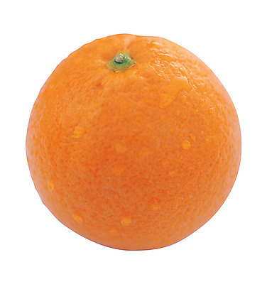 포토 JPG 스튜디오촬영 열매 음식 컬러 오렌지 과일 실내 누끼 근접촬영 사람없음 농작물 하이앵글 한개 주황색 껍질 물방울 꼭지 국내포토 식물 1 뷰포인트 농업 내부 파일형식