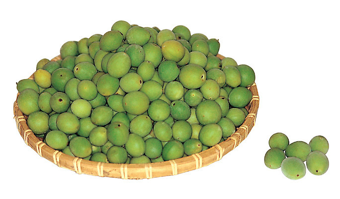 포토 JPG 스튜디오촬영 열매 음식 컬러 다수 과일 실내 누끼 근접촬영 사람없음 초록색 연두색 농작물 하이앵글 바구니 여러개 담기 매실 국내포토 식물 뷰포인트 농업 모션 내부 파일형식