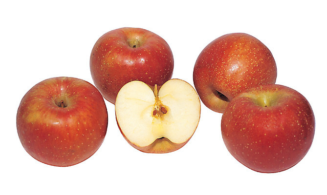 포토 JPG 스튜디오촬영 열매 음식 컬러 조각 과일 단면 실내 누끼 근접촬영 사람없음 빨간색 농작물 하이앵글 여러개 껍질 사과 자르기 반쪽 슬라이스 꼭지 과육 국내포토 식물 뷰포인트 다수 농업 모션 내부 파일형식