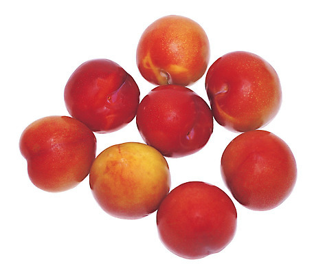 포토 JPG 스튜디오촬영 열매 음식 컬러 다수 과일 실내 누끼 근접촬영 사람없음 빨간색 농작물 하이앵글 여러개 자두 국내포토 식물 뷰포인트 농업 내부 파일형식