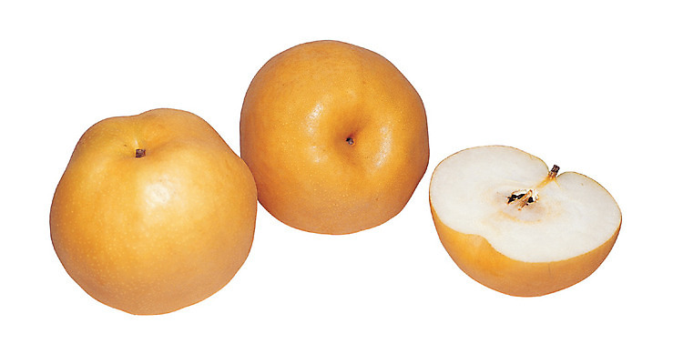 포토 JPG 스튜디오촬영 열매 음식 컬러 과일 단면 실내 누끼 근접촬영 사람없음 농작물 하이앵글 갈색 껍질 배 세개 자르기 반쪽 슬라이스 꼭지 과육 국내포토 식물 뷰포인트 농업 모션 3 내부 파일형식