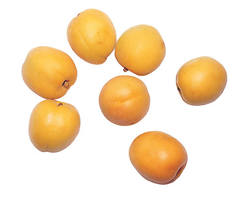 포토 JPG 스튜디오촬영 열매 음식 컬러 다수 실내 누끼 사람없음 농작물 하이앵글 노란색 여러개 꼭지 살구 국내포토 식물 뷰포인트 농업 과일 내부 파일형식