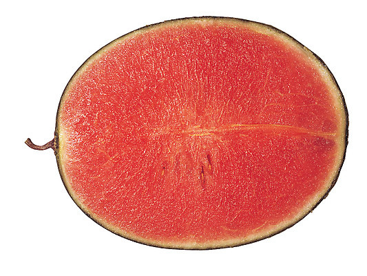 포토 JPG 스튜디오촬영 열매 컬러 조각 과일 단면 여름음식 수박 실내 누끼 근접촬영 사람없음 빨간색 초록색 농작물 하이앵글 한개 자르기 반쪽 슬라이스 꼭지 과육 제철음식 제철과일 국내포토 식물 1 음식 뷰포인트 농업 모션 내부 제철 파일형식 여름_계절