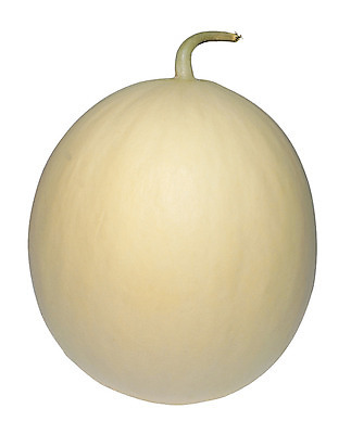 포토 JPG 스튜디오촬영 열매 음식 컬러 과일 한국 실내 누끼 사람없음 농작물 한개 껍질 원형 충청남도 멜론 특산물 꼭지 충청도 수신 수신메론 국내포토 도형 식물 1 아시아 농업 내부 파일형식